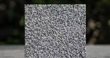 潮州 芝麻黑荔枝面