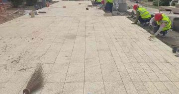 潮州黄金麻荔枝面地铺案例