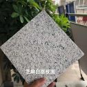 潮州 芝麻白荔枝面干挂