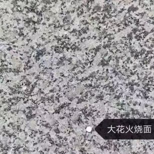 潮州 芙蓉白（芝麻白大花）火烧面