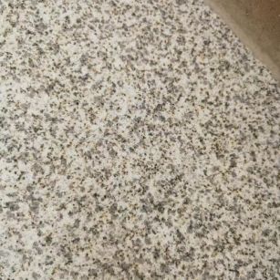 潮州 黄金麻中黄光面