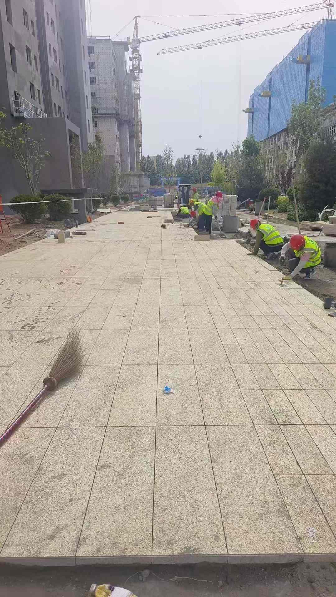 潮州黄金麻荔枝面地铺案例