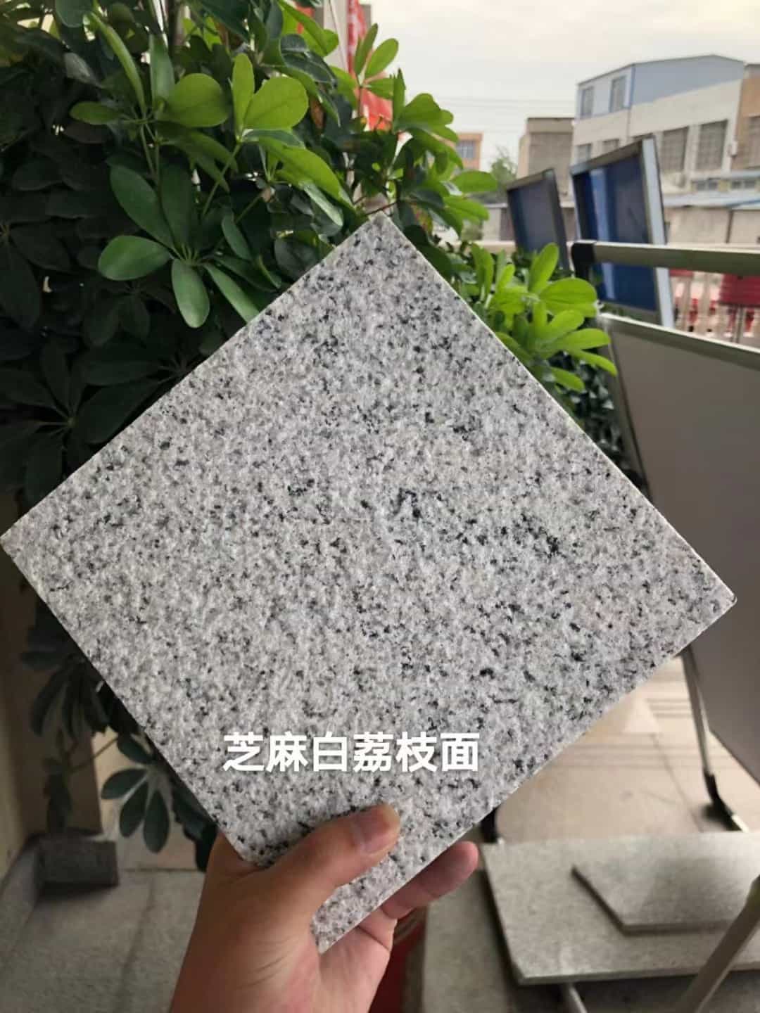 潮州 芝麻白荔枝面干挂
