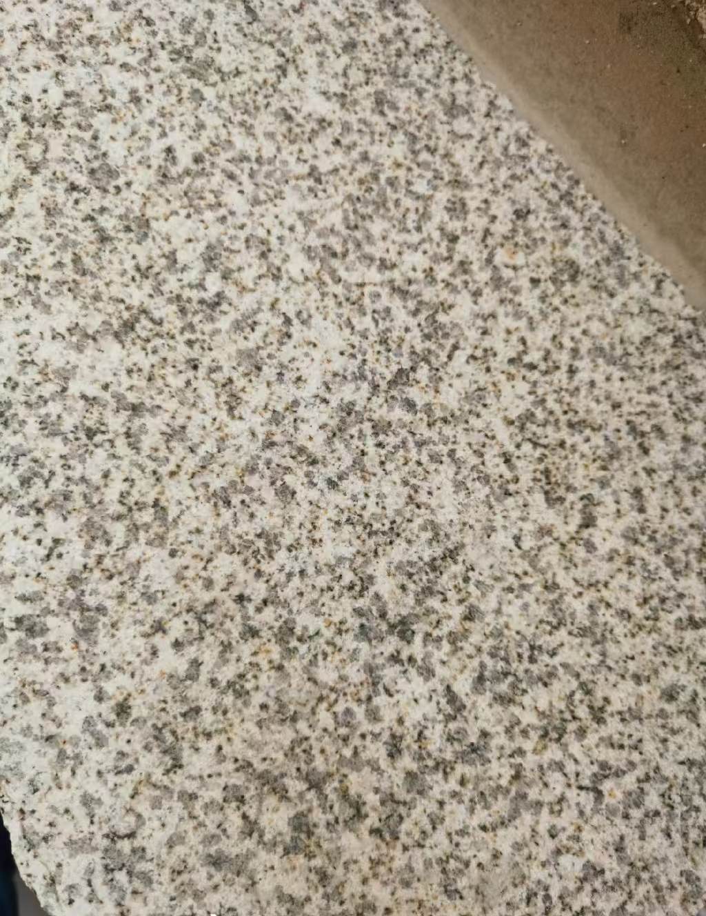 潮州 黄金麻中黄光面