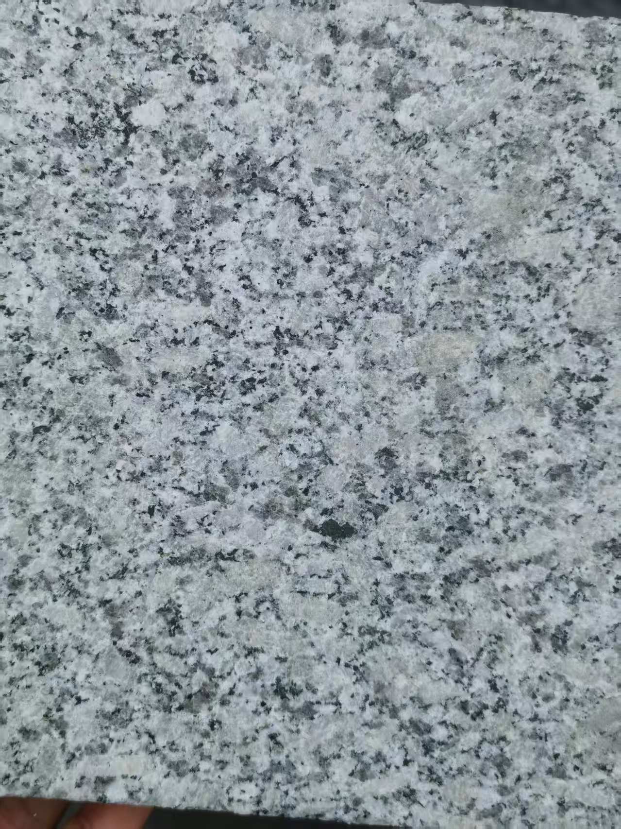 潮州 芙蓉白火烧面